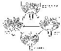 Diagram showing the relationship between the...